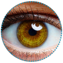 Retinal scan